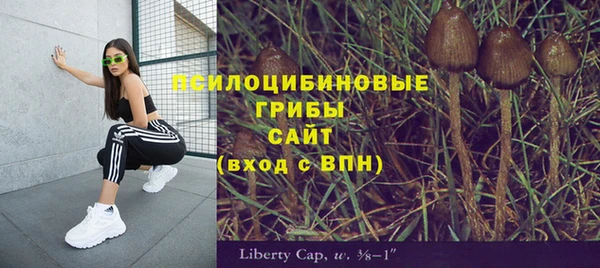 не бодяженный Арсеньев